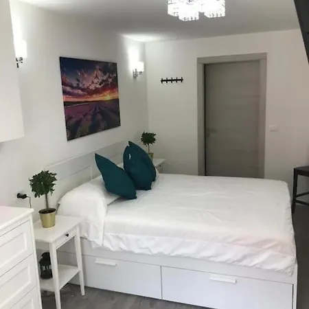 Premium Center * 트리에스테